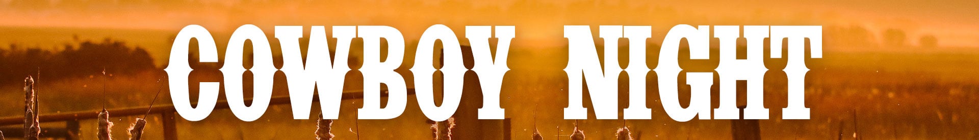 Header Sample-16x9-CowboyNight 2