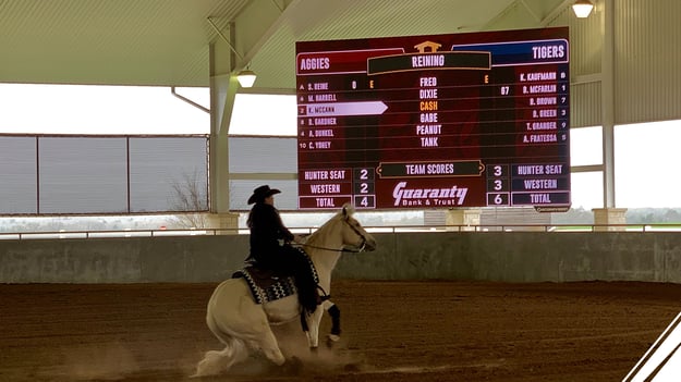 TAMU-Equestrian-Project-Gallery-Featured-Image